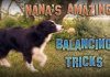 Nana’nın İnanılmaz Denge Gösterileri
